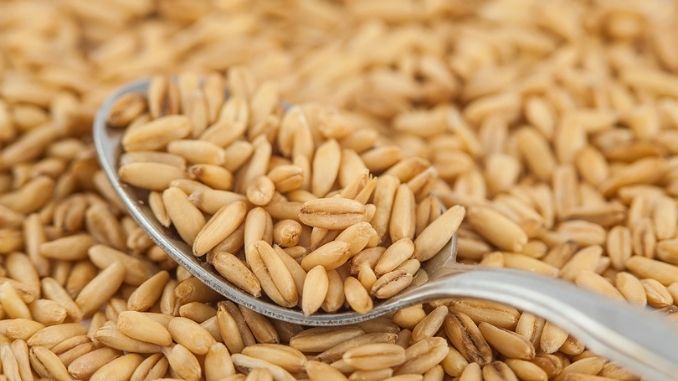 Spoonful of oat