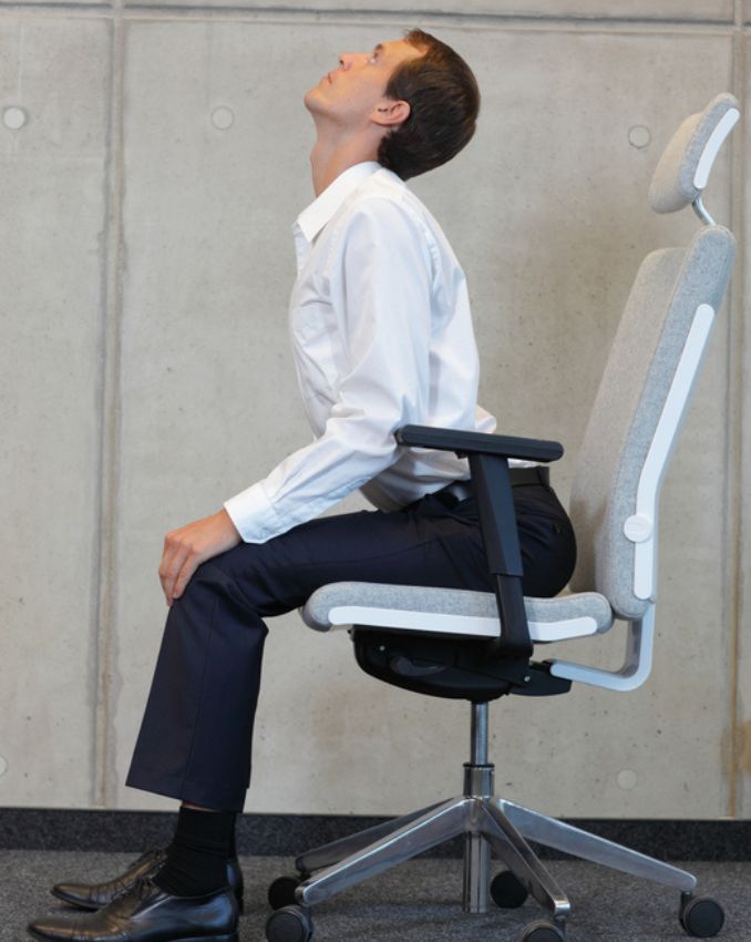 CatCow 1 Chronic Back Pain Exercises