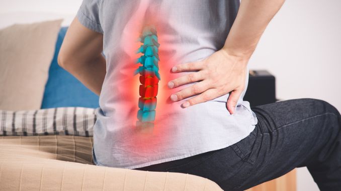The Spine: The Center of Your Body 