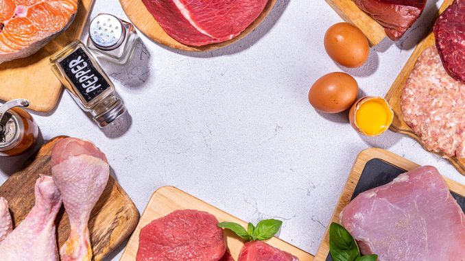 Foods high in animal protein